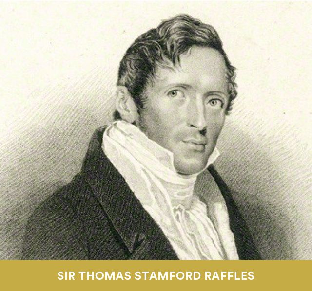 1822-stanford-raffles.jpg
