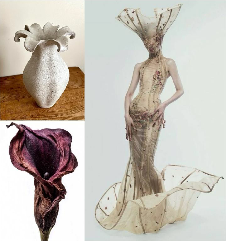 BENEATH THE BLOOM – APPAREL Image