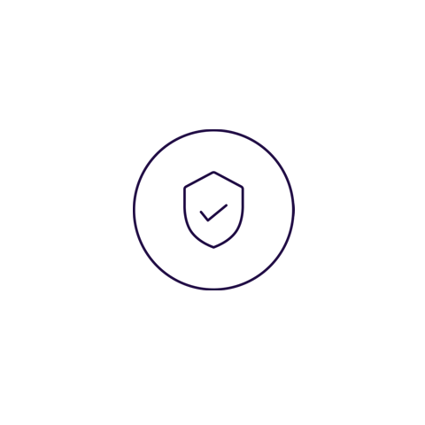 secure-icon.png